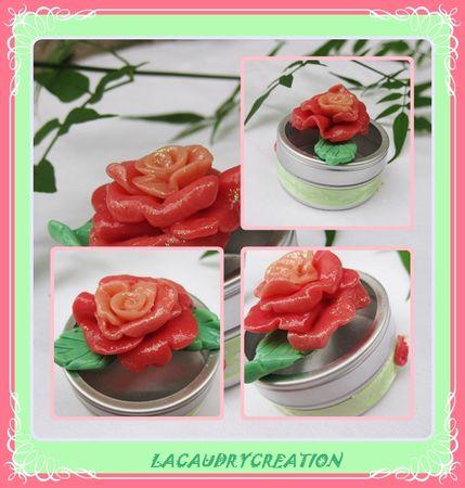 Un peu de poésie BOIRE_ROSE_PAM_2