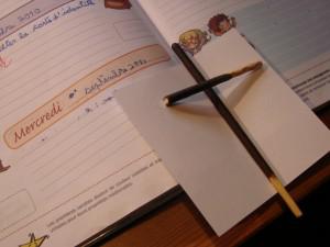 A bat le mercredi DSC09728 300x225 À bas le mercredi !