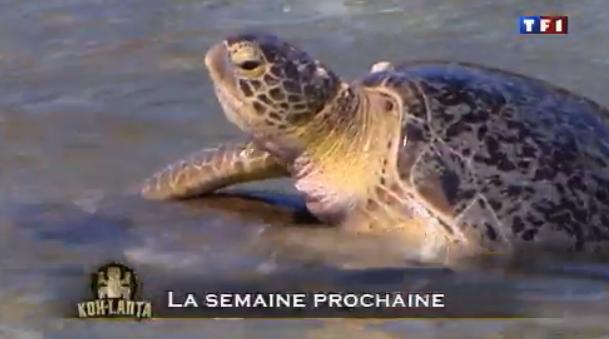 Koh Lanta 10 au Vietnam ... ce qui nous attend le vendredi 24 septembre 2010 Koh Lanta 10 au Vietnam ... ce qui nous attend le vendredi 24 septembre 2010