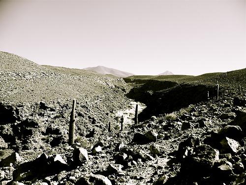 Désert d’Atacama, On a marché sur la Lune
Situé... Désert d’Atacama, On a marché sur la Lune
Situé...