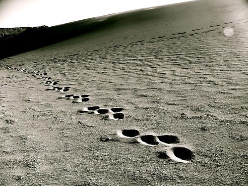 Désert d’Atacama, On a marché sur la Lune
Situé... Désert d’Atacama, On a marché sur la Lune
Situé...