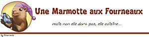 ANNONCE DU JEU INTER-BLOG 9# ET CONCOURS DE LA MECHOUIA DANS TOUS CES ETATS ..... ban-laetitia