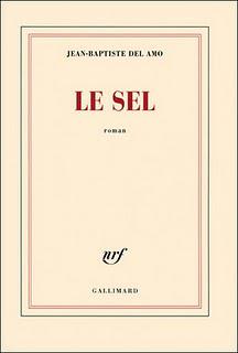 « Le sel » : deuxième roman de Jean-Baptiste Del Amo