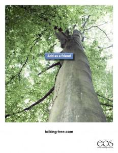 talking tree facebook 232x300 Larbre qui parle aux réseaux sociaux   Talking Tree
