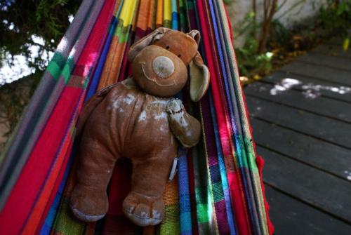 Cherche un Hien Hien pour Lulu Petites annonces gratuites de recherche Kicherchekoi