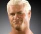 Resultat Night of Champions 2010 : Dolph Ziggler Résultat Nuit des Champions 2010 vainqueur : Dolph Ziggler