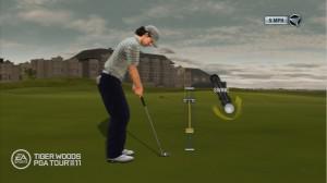 Tiger Woods PGA Tour 11: Compatible PS move !