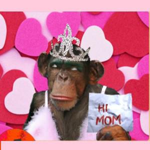 Toutes mes excuses pour la visite de vos blogs Toutes mes excuses pour la visite de vos blogs