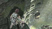 ICO et Shadow of the Colossus sur PS3 + Trailer soc0006