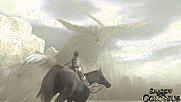 ICO et Shadow of the Colossus sur PS3 + Trailer soc0008