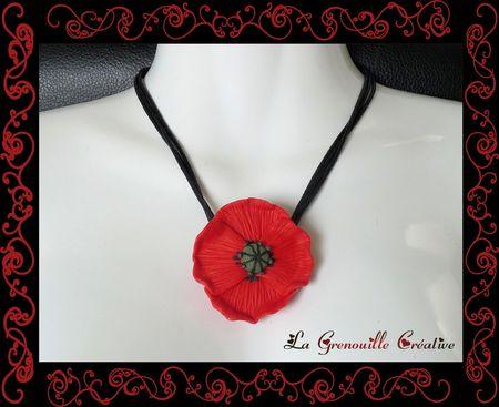 un petit jeu chez la grenouille Coquelicot__1_