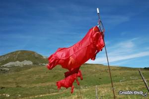 Picherande Vaches à air Picherande Vaches à air