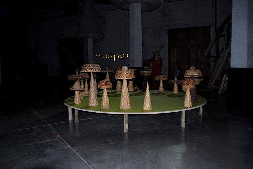 Le rond de sorcières dans la clairière rond-de-sorcieres.-b.jpg