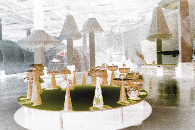 Le rond de sorcières dans la clairière rond-de-sorcieres.-neg-tube.b.jpg