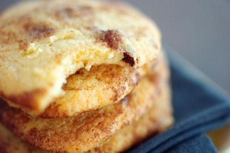 Like a snickerdoodle.. IMGP2070