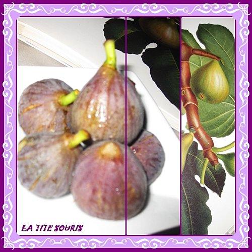 FIGUES 2
