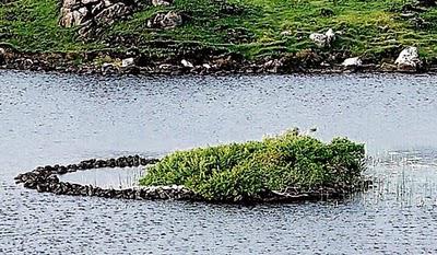Irlande: Un crannog revele par la baisse de niveau d un lac