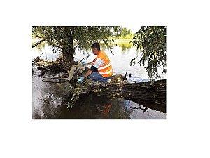 Nettoyage des berges de Loire Diapositive1.JPG