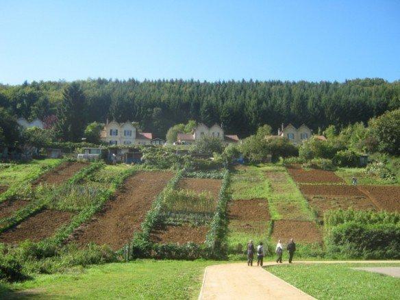 Hayange: Une marche en Val-de-Fensch Jardins et cité d'Hayange