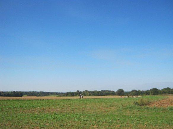 Hayange: Une marche en Val-de-Fensch Chemin entre Hayange et Neufchef