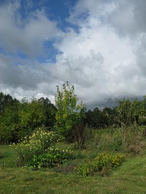 Passion Bento Passion Bento