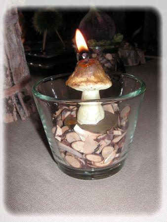 L'automne est bien là.... automne_013_modifi__1