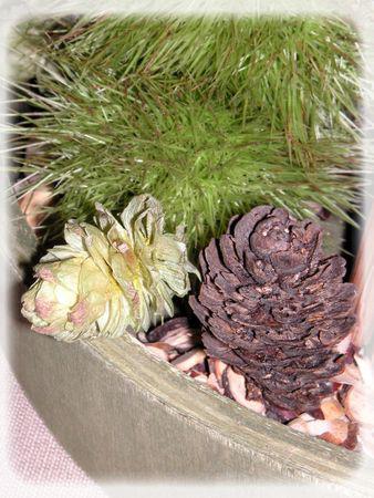 L'automne est bien là.... automne_049_modifi__1