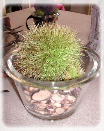 L'automne est bien là.... automne_021_modifi__1