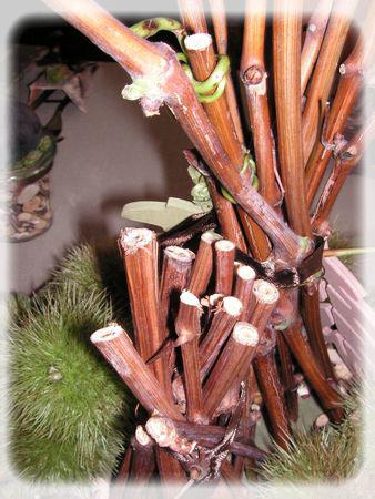 L'automne est bien là.... automne_034_modifi__1