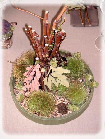 L'automne est bien là.... automne_038_modifi__1