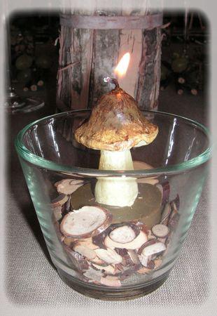 L'automne est bien là.... automne_004_modifi__1