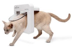 CCchat-a-puce Vive le chat à puce !