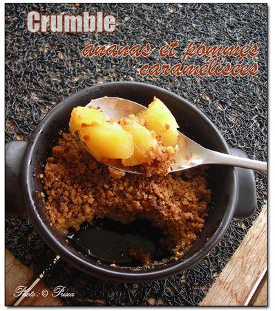 crumble_pommes_ananas_2