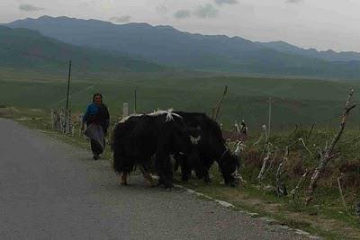 Terres Tibétaines (5/6) - De Tongren à Xiahe