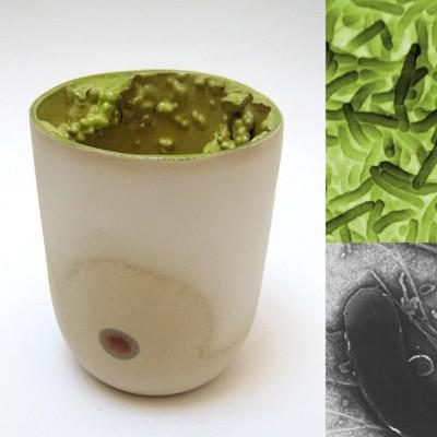 cholera cholera Céramique contaminée ou lart bactérien de Tamsin van Essen Céramique Design & Moderne