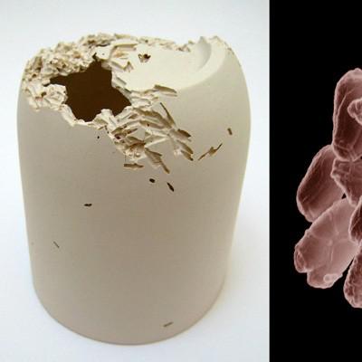 e coli Céramique contaminée ou lart bactérien de Tamsin van Essen    Céramique Design & Moderne