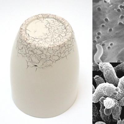 Campylobacter Céramique contaminée ou lart bactérien de Tamsin van Essen    Céramique Design & Moderne
