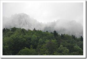DSC_0353 DSC_0353