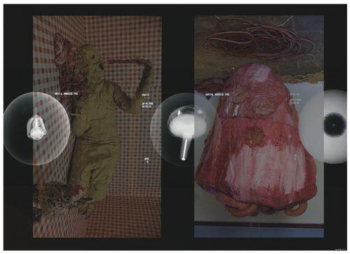 Visuel dissection intime Visuel dissection intime