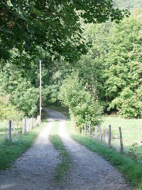 AU BORD DU LAC.... AU BORD DU LAC....