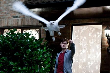Harry Potter 7.1 en 42 photos & 5 vidéos !!! harry-potter-7