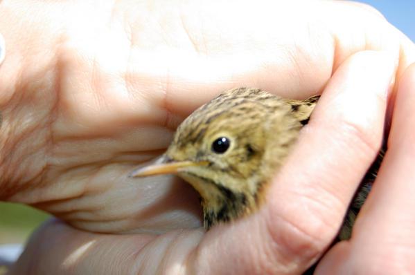 « L’Organisme » : avis de lecteurs (9) blog68.jpg