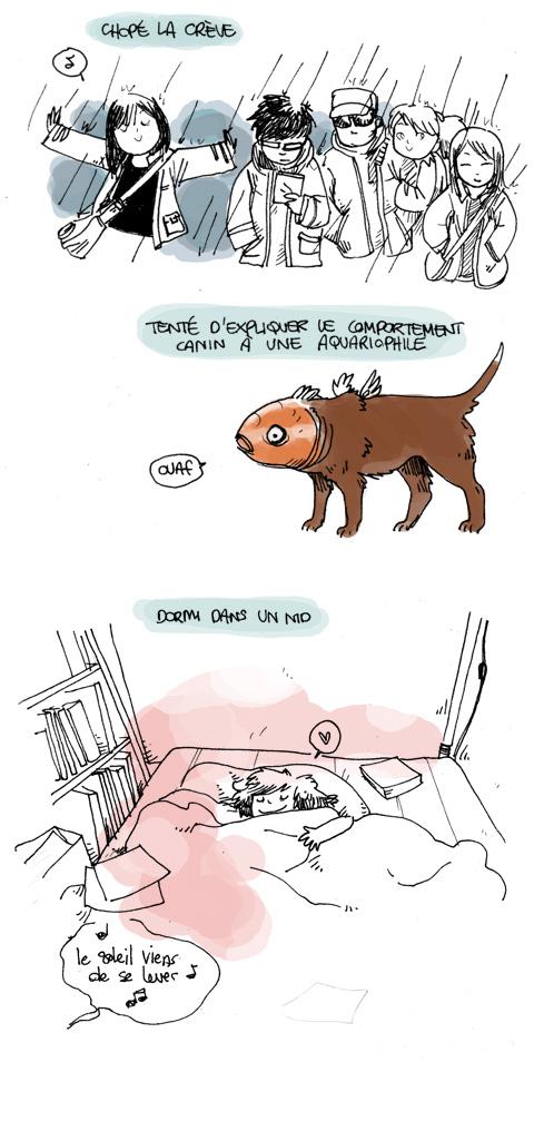 Festiblog again ! Festiblog again !