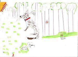 Challenge « Dessine un loup » : dessins dans la boîte aux lettres Challenge-dessine-un-loup-Zigouzis-Othilie-9-ans.jpg