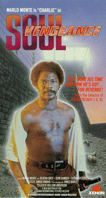 Soul vengeance Soul vengeance
