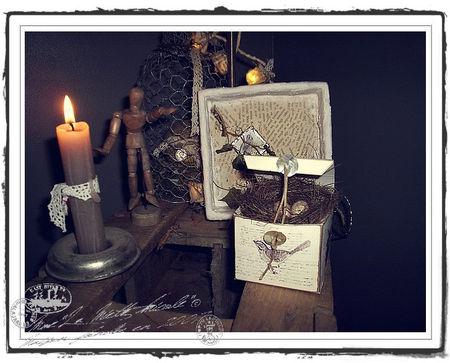 Paper Box ZoZios... 001_framed01