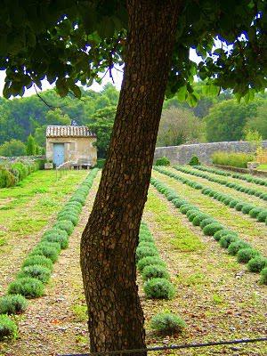 J'ai aimé ....regarder la nuit tomber sur Gordes .... J'ai aimé ....regarder la nuit tomber sur Gordes ....