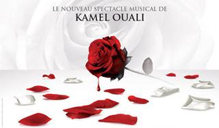 Dracula: L'amour plus fort que la mort, Un spectacle signé Kamel Ouali