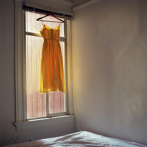 Dress-mollusk Dress-mollusk