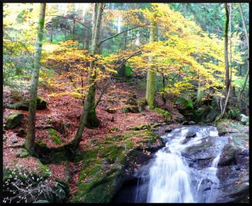 1P1050767 photo du jour